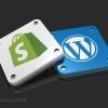 wordpress-vs-shopify